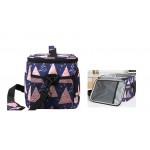 INSULATED LUNCH BAG
